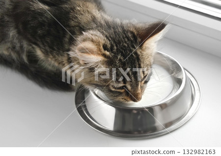 Cat Sits on a Windowsill, Licking Milk from Steel Bowl. Close up. Little Tabby Kitten Eating at Home. Little Young Feline Drinking Milk. Fluffy Pet. Cat Food. Health of Domestic Animal. Kitty Lapping Cat Sits on a Windowsill, Licking Milk from Steel Bowl. Close up. Little Tabby Kitten Eating at Home. Little Young Feline Drinking Milk. Fluffy Pet. Cat Food. Health of Domestic Animal. Kitty Lapping 132982163