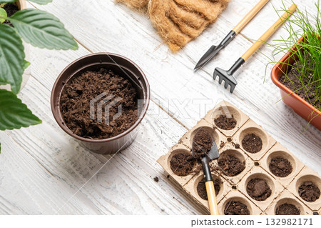 Garden Flat Lay. Planting flowers. No people. Working with Soil, Natural Small Pots. Fertility. Caring House Plants. Top View. Sowing Seeds in Germination Boxes. Growing Seedlings at Home in Spring 132982171