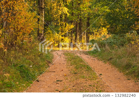 Pathway in the Autumn Forest. Autumnal Park Road. Dry Red Leaves Falling in a Ground. Landscape on Fall Background in November Day. Yellow Trees Scenery. Mystic Way. Colorful Footage. Warm Light Pathway in the Autumn Forest. Autumnal Park Road. Dry Red Leaves Falling in a Ground. Landscape on Fall Background in November Day. Yellow Trees Scenery. Mystic Way. Colorful Footage. Warm Light 132982240