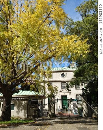 Autumn leaves at Yokohama Port Opening Memorial Hall Autumn leaves at Yokohama Port Opening Memorial Hall 132983550