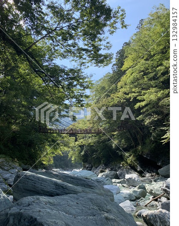 Kazurabashi Bridge and clear stream in summer Kazurabashi Bridge and clear stream in summer 132984157