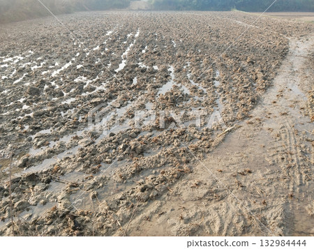 Freshly ploughed agricultural field with visible water irrigation in rural setting, showcasing traditional Indian farming practices and fertile soil preparation before crop plantation Freshly ploughed agricultural field with visible water irrigation in rural setting, showcasing traditional Indian farming practices and fertile soil preparation before crop plantation 132984444