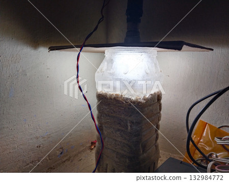 Pigeon eggs resting on straw inside a plastic box with overhead light bulb used as heat source, depicting rural makeshift incubator method for egg hatching in natural setting 132984772
