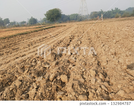 Freshly ploughed agricultural field showing tractor tire marks and turned soil, ready for sowing crops in a rural Indian farming landscape during cultivation season 132984787