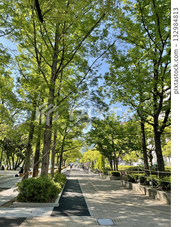 神戶花路上的清新綠意 神戶花路上的清新綠意 132984813