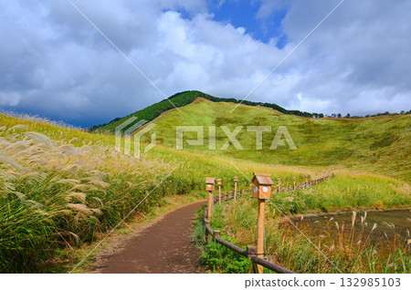 索尼高原、日本銀草、索尼鎮 132985103