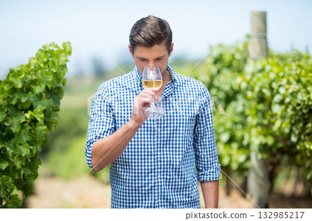Adult man wearing checkered shirt sniffing wine in stemmed glass among rows of vineyard grapevines 132985217