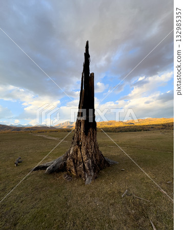 Charred dead tree trunk rises from open field under dramatic sky with distant mountains at sunset Charred dead tree trunk rises from open field under dramatic sky with distant mountains at sunset 132985357