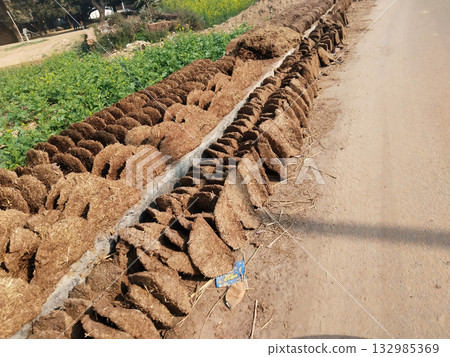 Cow dung cakes drying on roadside in rural India, traditionally arranged for fuel use, showing cultural practices and sustainable energy methods in village lifestyle Cow dung cakes drying on roadside in rural India, traditionally arranged for fuel use, showing cultural practices and sustainable energy methods in village lifestyle 132985369