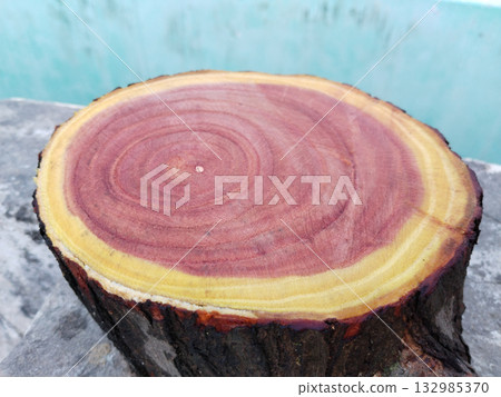 Beautifully textured surface of freshly cut tree trunk revealing organic growth rings, symbolizing time, age, and nature's geometry captured in warm earthy tones for nature and design purposes 132985370