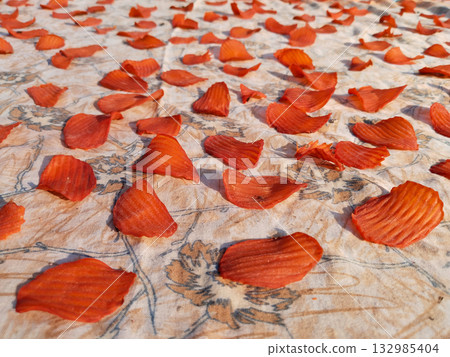 Home Made Raw Potato Chips dried in sunlight- Dry Potato Chips Fryums (Crunchy, Thin) Aalu Ke Chips - Homemade Kacchi Potato Chips dry in sunlight. 132985404