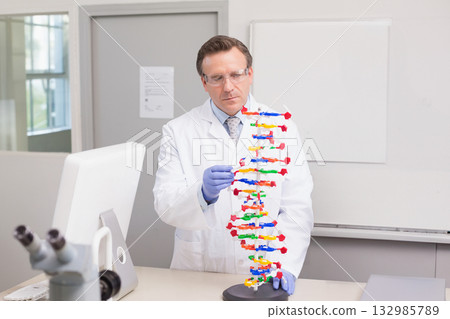 Male scientist wearing gloves and safety glasses examining plastic DNA model in lab with microscope Male scientist wearing gloves and safety glasses examining plastic DNA model in lab with microscope 132985789