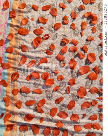 Sun drying large quantity of sliced potato chips spread evenly on cloth in rural India for traditional homemade snack preservation Sun drying large quantity of sliced potato chips spread evenly on cloth in rural India for traditional homemade snack preservation 132986279