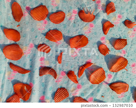 Sun drying large quantity of sliced potato chips spread evenly on cloth in rural India for traditional homemade snack preservation 132987010