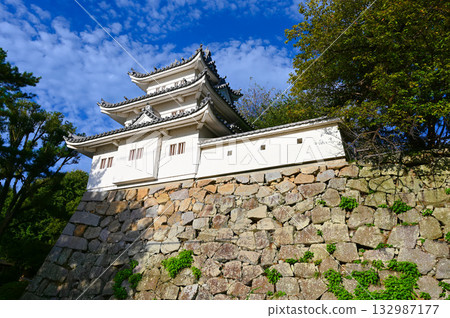 津城遺址、牛虎塔、津市 132987177