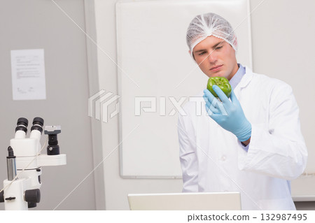 Male scientist in lab coat inspecting green bell pepper on lab bench with microscope, copy space 132987495