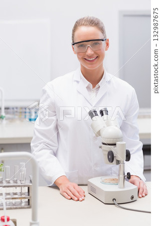Female scientist observing petri dish under binocular microscope at lab bench with test tube rack Female scientist observing petri dish under binocular microscope at lab bench with test tube rack 132987675