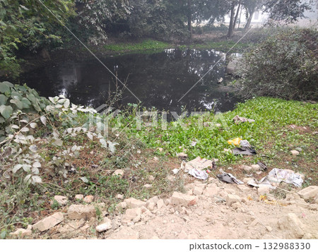Stagnant rural pond with dark blackish water and dense green grass around the edges, no visible waste but water indicates natural decay or organic contamination in neglected village area Stagnant rural pond with dark blackish water and dense green grass around the edges, no visible waste but water indicates natural decay or organic contamination in neglected village area 132988330