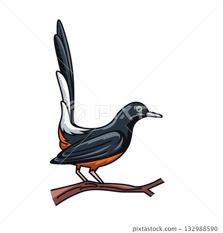magpie robin illustration  vector element design template 132988590