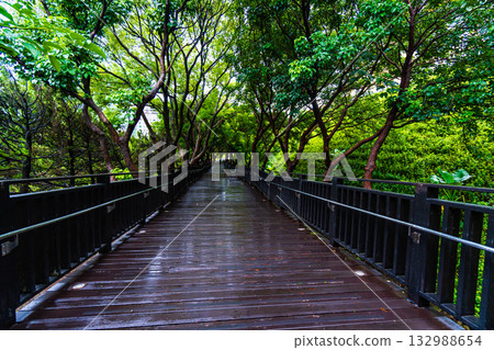 台灣台北故宮博物館 132988654