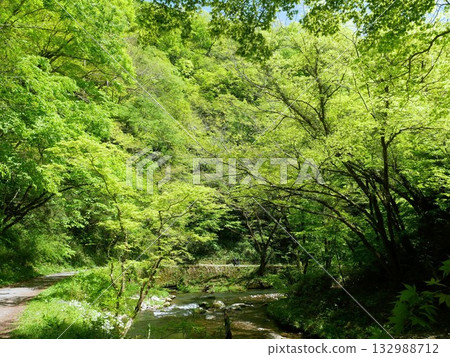 Beautiful fresh green scenery at Taishaku Gorge (Shobara City, Hiroshima Prefecture) Beautiful fresh green scenery at Taishaku Gorge (Shobara City, Hiroshima Prefecture) 132988712
