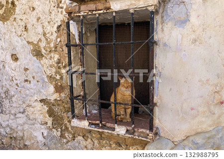 A red cat sits gracefully on the sill of an old window with iron bars in Setenil de las Bodegas, Spain, blending the warmth of feline calm with the rustic charm of Andalusian stone architecture. A red cat sits gracefully on the sill of an old window with iron bars in Setenil de las Bodegas, Spain, blending the warmth of feline calm with the rustic charm of Andalusian stone architecture. 132988795