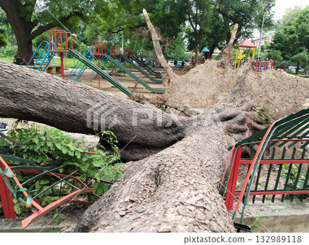 Uprooted tree fallen across playground area, damaging fence and blocking slides, exposed roots and large trunk in park, scene of storm or decay impact in urban recreation space with urgent need for Uprooted tree fallen across playground area, damaging fence and blocking slides, exposed roots and large trunk in park, scene of storm or decay impact in urban recreation space with urgent need for 132989118