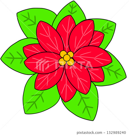poinsettia flower 132989240