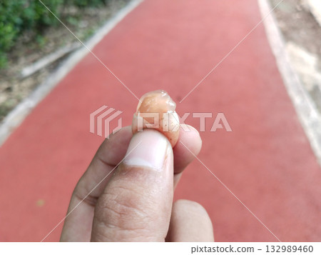Close-up of hand holding Cordia myxa fruit (gunda, lesoda, gum berry) with sticky pulp, captured against red jogging track background, popular for pickle making Close-up of hand holding Cordia myxa fruit (gunda, lesoda, gum berry) with sticky pulp, captured against red jogging track background, popular for pickle making 132989460