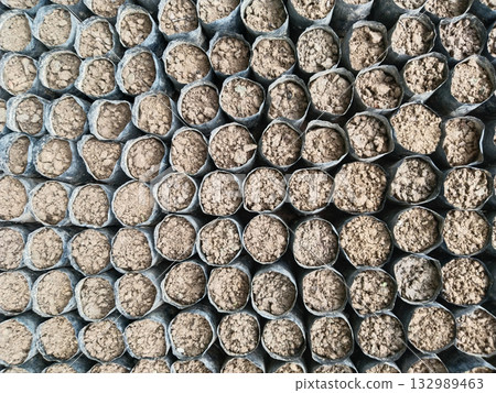 Multiple black grow bags filled with fertile soil arranged in neat rows for nursery and gardening use, ready for planting seeds or saplings, agriculture and horticulture equipment for cultivation 132989463