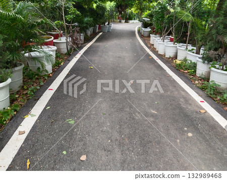 Garden pathway with asphalt road lined with decorative potted plants on both sides, outdoor park walkway surrounded by greenery and foliage creating a natural scenic view for walking and relaxation Garden pathway with asphalt road lined with decorative potted plants on both sides, outdoor park walkway surrounded by greenery and foliage creating a natural scenic view for walking and relaxation 132989468
