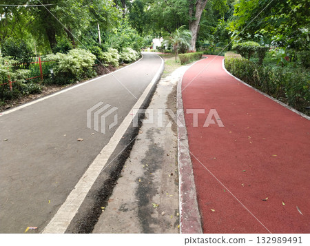Straight paved walkway in green park bordered by wild grass and trees, tranquil outdoor path ideal for jogging, walking, leisure or nature exploration, clean surroundings with fresh greenery, open Straight paved walkway in green park bordered by wild grass and trees, tranquil outdoor path ideal for jogging, walking, leisure or nature exploration, clean surroundings with fresh greenery, open 132989491