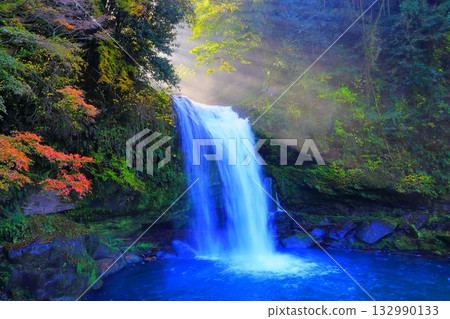 Jion Falls in the autumn sunshine (Kuju Town, Oita Prefecture) 132990133