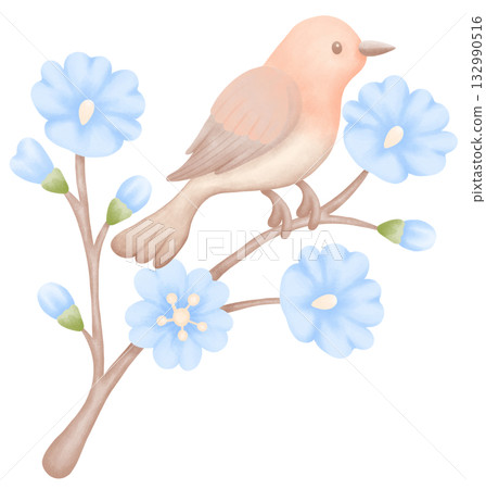 soft watercolor bird illustration for animal day 132990516