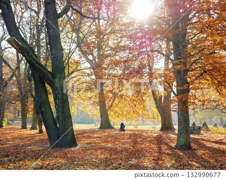 Beautiful autumn scenery in Berlin encountered during a walk Beautiful autumn scenery in Berlin encountered during a walk 132990677