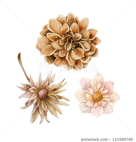 Autumn flowers set. Dahlia Chrysanthemum Aster. Watercolor hand drawn floral illustration isolated on white background for wedding design home textile print card cosmetic package porcelain crockery Autumn flowers set. Dahlia Chrysanthemum Aster. Watercolor hand drawn floral illustration isolated on white background for wedding design home textile print card cosmetic package porcelain crockery 132990790
