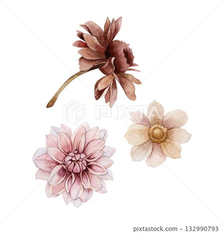 Autumn flowers set. Dahlia Chrysanthemum Echinacea. Watercolor hand drawn floral illustration isolated on white background for wedding design home textile print cosmetic package porcelain crockery Autumn flowers set. Dahlia Chrysanthemum Echinacea. Watercolor hand drawn floral illustration isolated on white background for wedding design home textile print cosmetic package porcelain crockery 132990793
