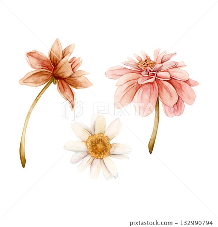 Autumn flowers set. Dahlia Chrysanthemum Daisy. Watercolor hand drawn floral illustration isolated on white background for wedding design home textile print card cosmetic package porcelain crockery Autumn flowers set. Dahlia Chrysanthemum Daisy. Watercolor hand drawn floral illustration isolated on white background for wedding design home textile print card cosmetic package porcelain crockery 132990794