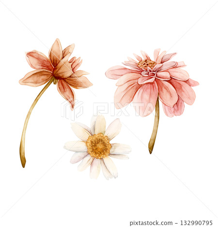 Autumn flowers set. Dahlia Chrysanthemum Daisy. Watercolor hand drawn floral illustration isolated on white background for wedding design home textile print card cosmetic package porcelain crockery Autumn flowers set. Dahlia Chrysanthemum Daisy. Watercolor hand drawn floral illustration isolated on white background for wedding design home textile print card cosmetic package porcelain crockery 132990795