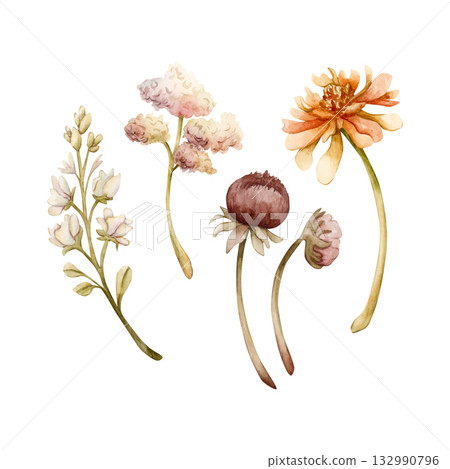 Autumn flower buds branch set. Dahlia Chrysanthemum Zinnia. Watercolor hand drawn floral illustration isolated on white background for wedding design home textile cosmetic package porcelain crockery Autumn flower buds branch set. Dahlia Chrysanthemum Zinnia. Watercolor hand drawn floral illustration isolated on white background for wedding design home textile cosmetic package porcelain crockery 132990796
