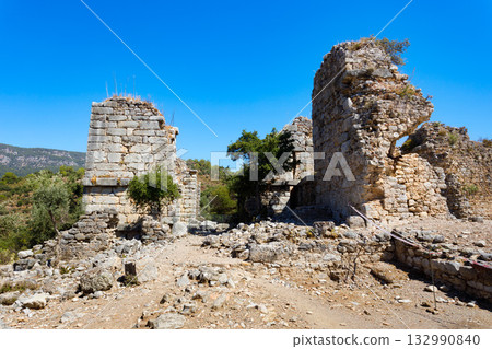 Kaunos ancient city near Dalyan town in Turkey Kaunos ancient city near Dalyan town in Turkey 132990840