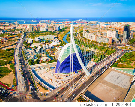 The City of Arts and Sciences in Valencia, Spain 132991401