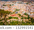 Alcazaba Fortress aerial panoramic view in Malaga 132991541