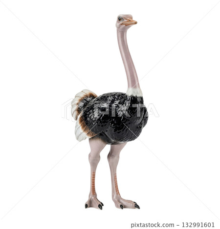 Porcelain figurine of a large ostrich bird with black and white feathers standing tall 132991601
