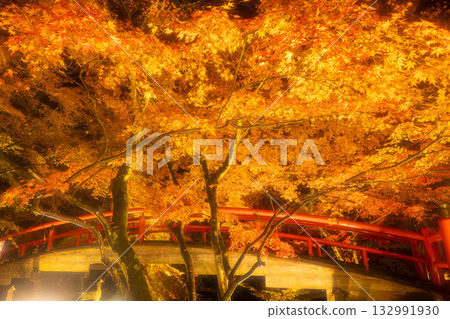 Ikaho Onsen in autumn: Illuminated autumn leaves at Kajika Bridge 132991930