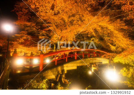 秋天的伊香保溫泉：梶香橋上燈光照耀下的秋葉 132991932