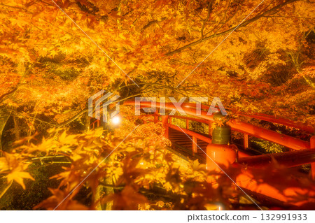 秋天的伊香保溫泉：梶香橋上燈光照耀下的秋葉 132991933