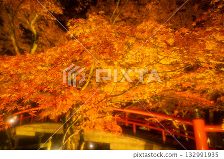 秋天的伊香保溫泉：梶香橋上燈光照耀下的秋葉 132991935