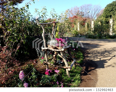 Gardening: Cyclamen Artwork at Minato Mirai Park Gardening: Cyclamen Artwork at Minato Mirai Park 132992463