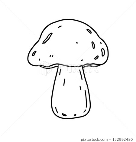 A mushroom isolated on a white background. 132992480